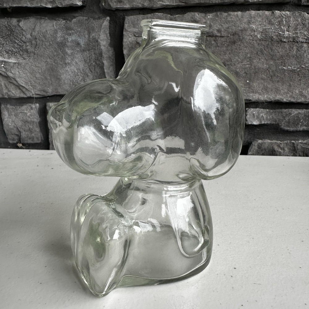 Vintage 1960s Anchor Hocking Clear Glass Peanuts Snoopy Piggy Coin Bank EUC